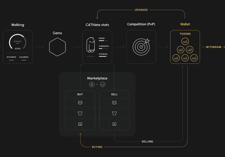 Future potential and roadmap of Walken2025年最新初心者向け visualised